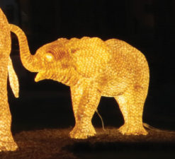 led baby elephant