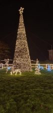 10M tree with 8000 leds for Loughrea Community, Galway County. This spectacular tree was made with 8000 31V winglinks gold light strings. It is a spectacular centre piece that attracts a lot of attention.